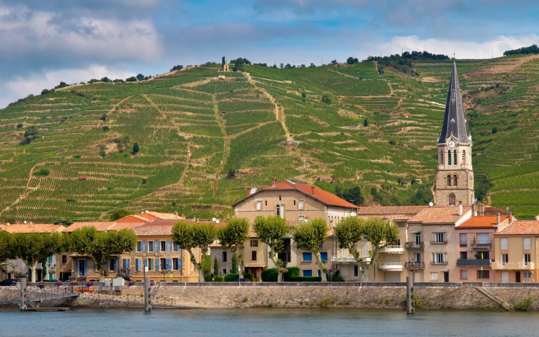 Châteauneuf-du-Pape : Un Terroir d’Exception au Cœur de la Provence